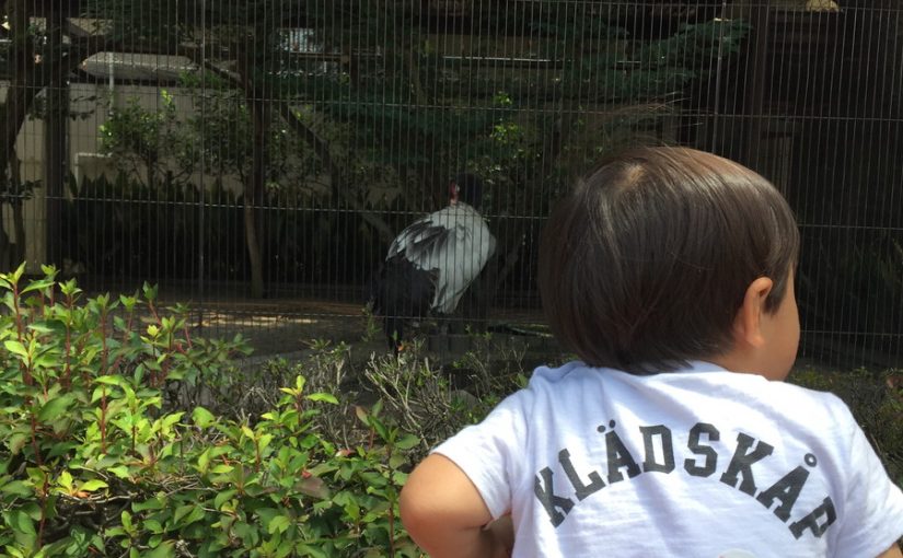 動物園と子供